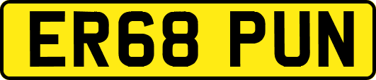 ER68PUN