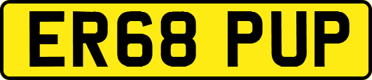 ER68PUP