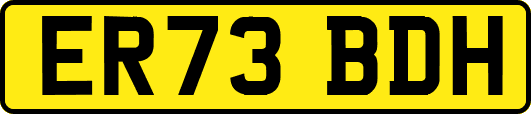 ER73BDH