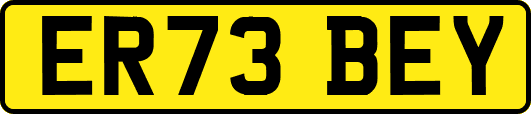ER73BEY