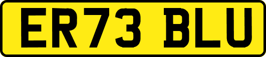ER73BLU