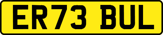 ER73BUL