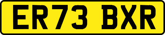 ER73BXR