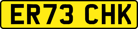 ER73CHK