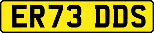 ER73DDS