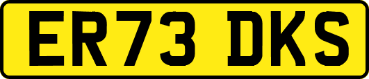 ER73DKS