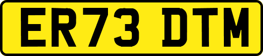 ER73DTM