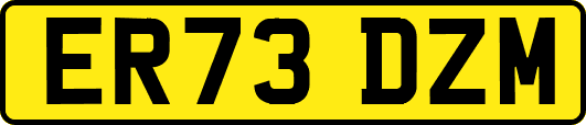 ER73DZM