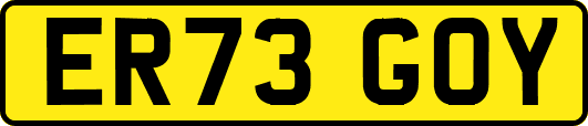 ER73GOY