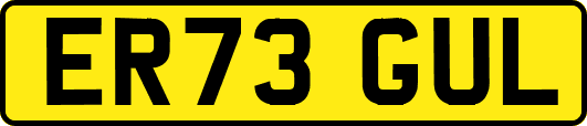 ER73GUL