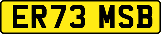 ER73MSB