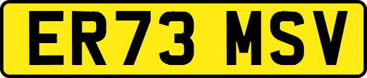 ER73MSV