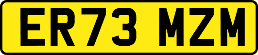 ER73MZM