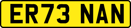 ER73NAN
