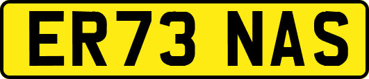 ER73NAS
