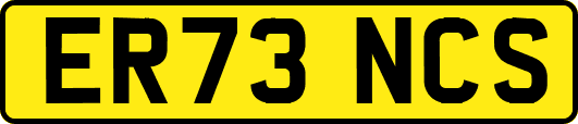 ER73NCS