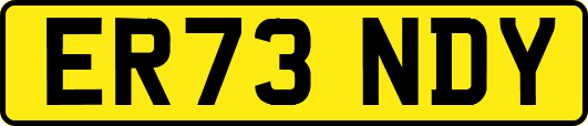 ER73NDY