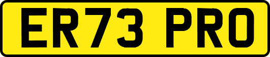 ER73PRO