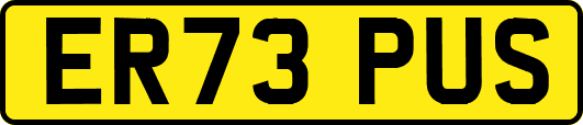 ER73PUS