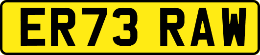 ER73RAW