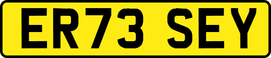 ER73SEY