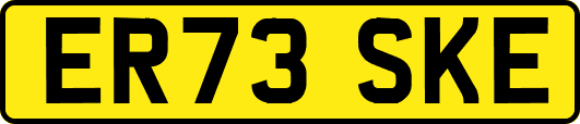 ER73SKE