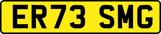 ER73SMG