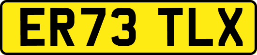 ER73TLX