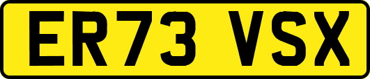 ER73VSX