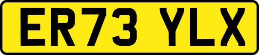 ER73YLX