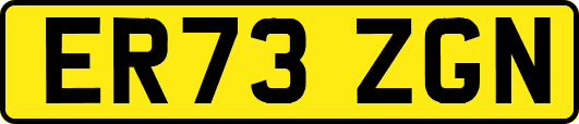 ER73ZGN