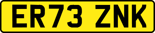 ER73ZNK