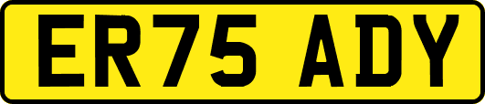 ER75ADY