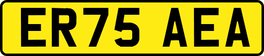ER75AEA