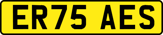 ER75AES