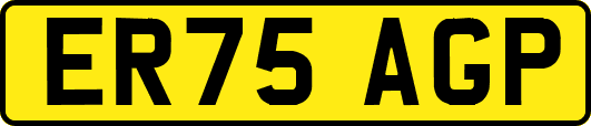 ER75AGP