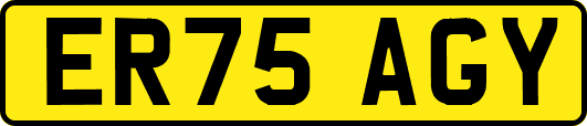ER75AGY
