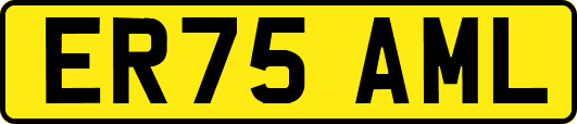ER75AML