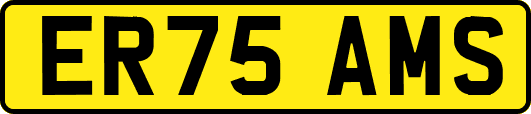 ER75AMS