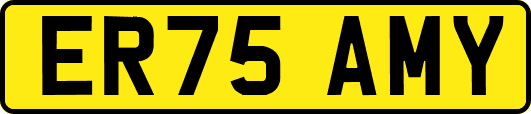 ER75AMY