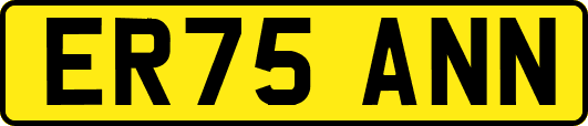 ER75ANN