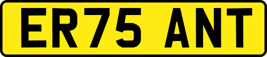 ER75ANT