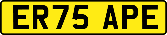 ER75APE