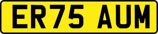 ER75AUM