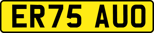 ER75AUO