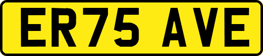 ER75AVE