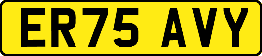 ER75AVY