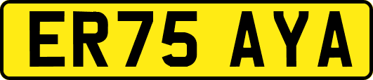 ER75AYA