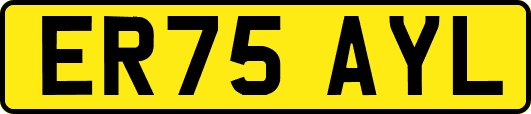 ER75AYL