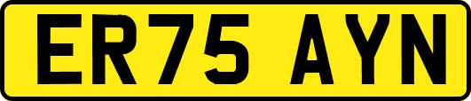 ER75AYN